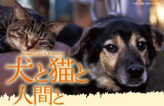 「犬と猫と人間と」＋飯田基晴監督ゲストトーク