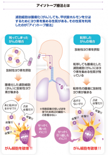 摜(224x320)Eg摜(400x570)