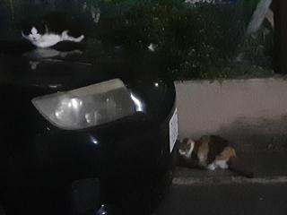 摜(320x240)Eg摜(640x480)