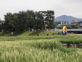 摜(320x240)Eg摜(640x480)