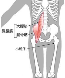 摜(266x320)Eg摜(448x537)