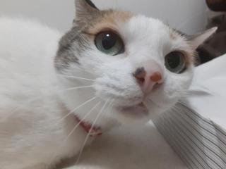 摜(320x240)Eg摜(640x480)