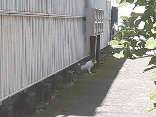 摜(320x240)Eg摜(640x480)
