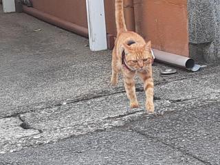 摜(320x240)Eg摜(640x480)