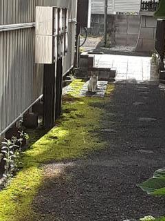 摜(240x320)Eg摜(480x640)