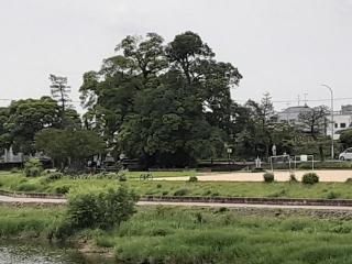 摜(320x240)Eg摜(640x480)