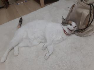 摜(320x240)Eg摜(640x480)