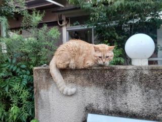 摜(320x240)Eg摜(640x480)