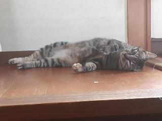摜(320x240)Eg摜(640x480)