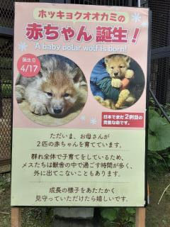 摜(240x320)Eg摜(480x640)