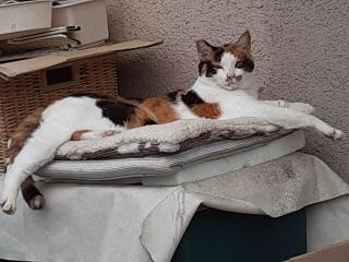 摜(320x240)Eg摜(640x480)