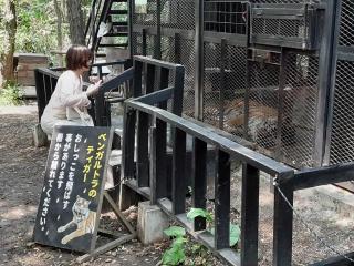 摜(320x240)Eg摜(640x480)