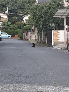 摜(240x320)Eg摜(480x640)