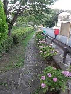 摜(240x320)Eg摜(480x640)