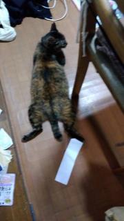 摜(180x320)Eg摜(360x640)