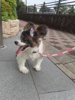 摜(240x320)Eg摜(480x640)