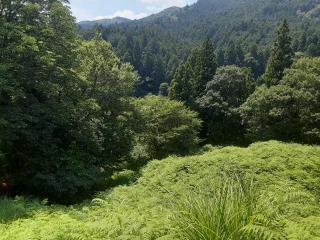 摜(320x240)Eg摜(640x480)