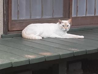 摜(320x240)Eg摜(640x480)