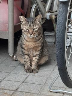 摜(240x320)Eg摜(480x640)