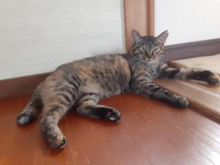摜(320x240)Eg摜(640x480)