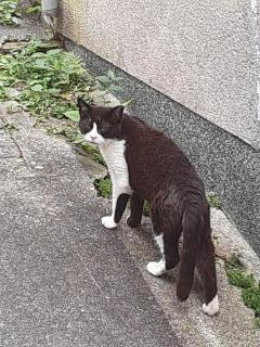 摜(240x320)Eg摜(480x640)