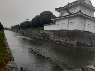 摜(320x240)Eg摜(640x480)