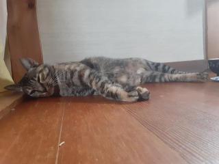 摜(320x240)Eg摜(640x480)