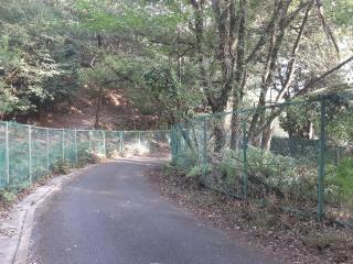 摜(320x240)Eg摜(640x480)
