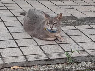 摜(320x240)Eg摜(640x480)