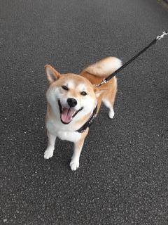 摜(240x320)Eg摜(480x640)