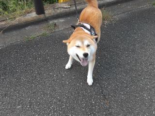 摜(320x240)Eg摜(640x480)