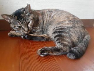 摜(320x240)Eg摜(640x480)