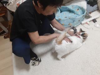 摜(320x240)Eg摜(640x480)