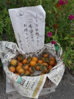 摜(240x320)Eg摜(480x640)