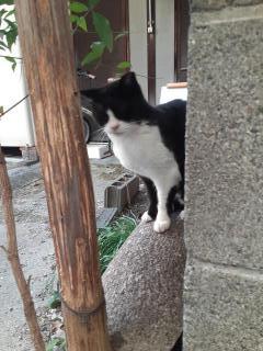 画像(240x320)・拡大画像(480x640)