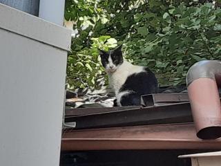 画像(320x240)・拡大画像(640x480)