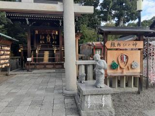 画像(320x240)・拡大画像(640x480)