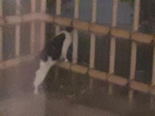 画像(320x240)・拡大画像(640x480)