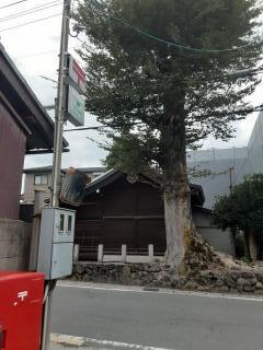 摜(240x320)Eg摜(480x640)