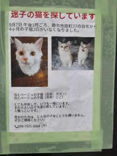 摜(240x320)Eg摜(480x640)