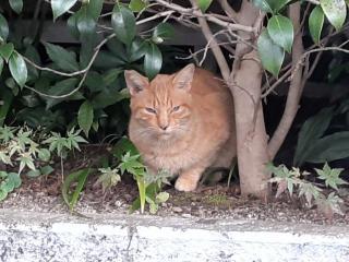 画像(320x240)・拡大画像(640x480)