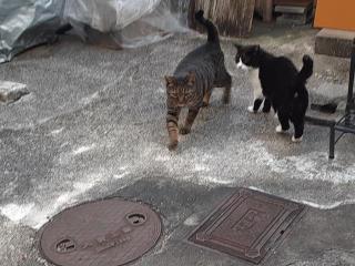 画像(320x240)・拡大画像(640x480)