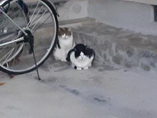画像(320x240)・拡大画像(640x480)