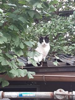 画像(240x320)・拡大画像(480x640)