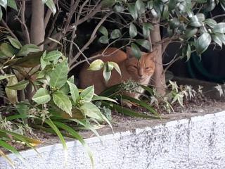 画像(320x240)・拡大画像(640x480)