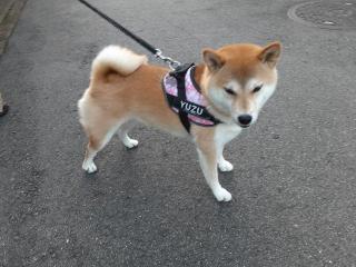 画像(320x240)・拡大画像(640x480)