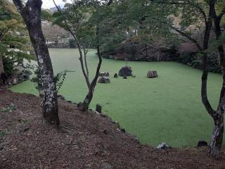 画像(320x240)・拡大画像(640x480)