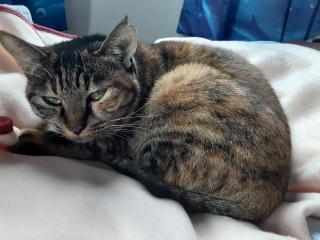 画像(320x240)・拡大画像(640x480)