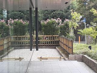 摜(320x240)Eg摜(640x480)