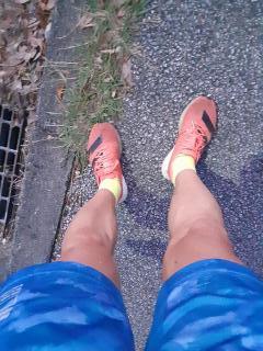 画像(240x320)・拡大画像(480x640)